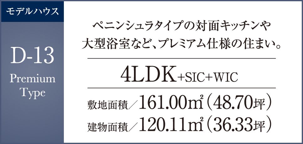 D-13